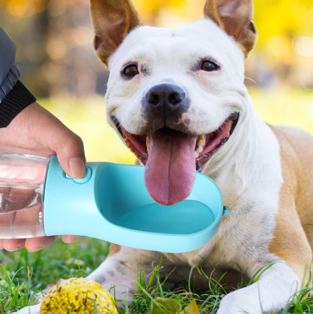 Tragbare Wasserflasche für Hunde - Elite Pup Finds