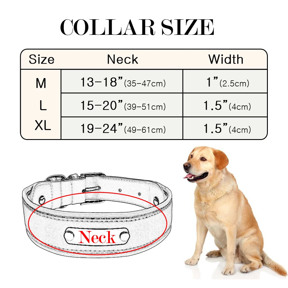 KOSTELOSE VERSAND  Personalisiertes Leder-Hundehalsband - Elite Pup Finds Store  Hunde Accessoires 