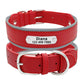 KOSTELOSE VERSAND  Personalisiertes Leder-Hundehalsband - Elite Pup Finds Store  Hunde Accessoires 