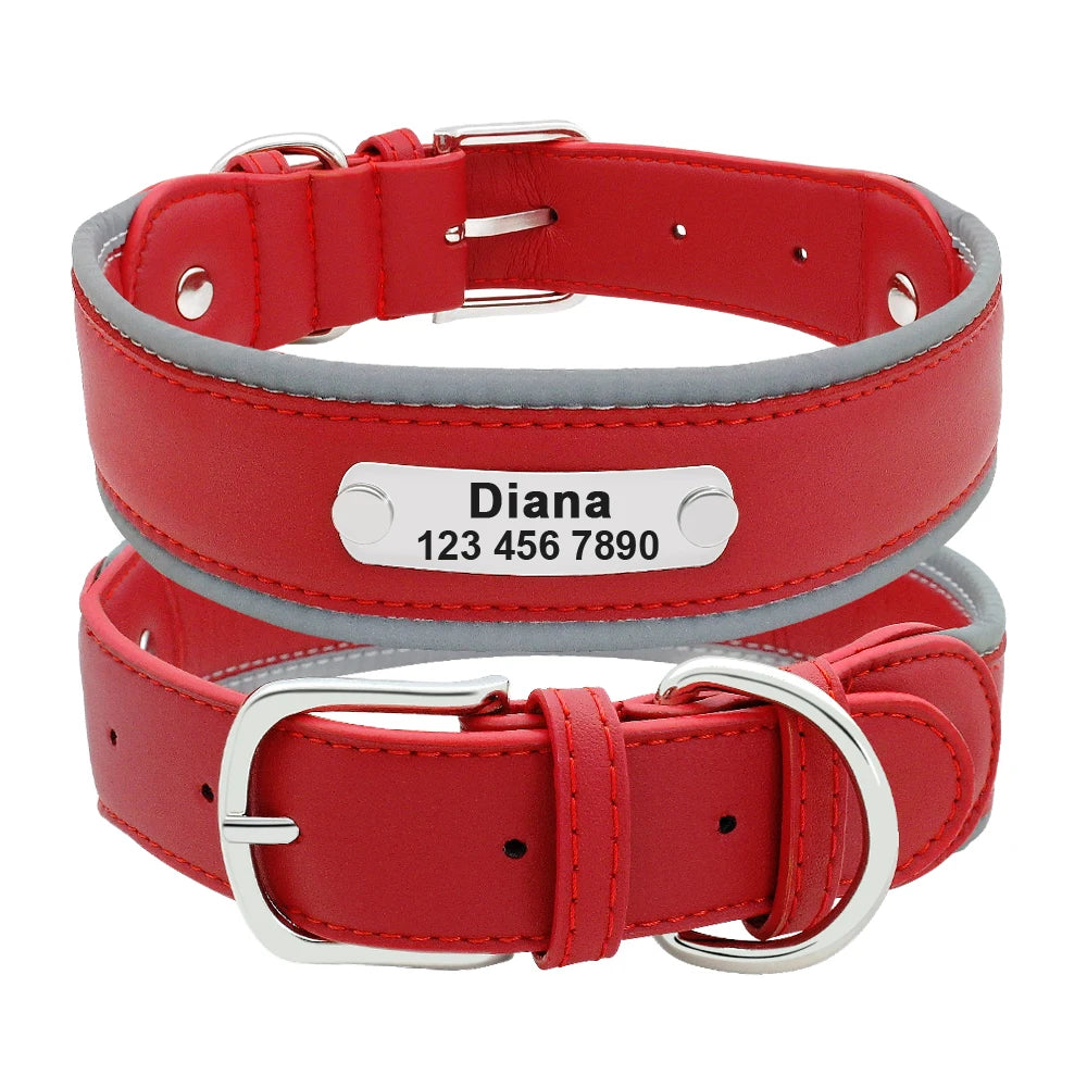 KOSTELOSE VERSAND  Personalisiertes Leder-Hundehalsband - Elite Pup Finds Store  Hunde Accessoires 