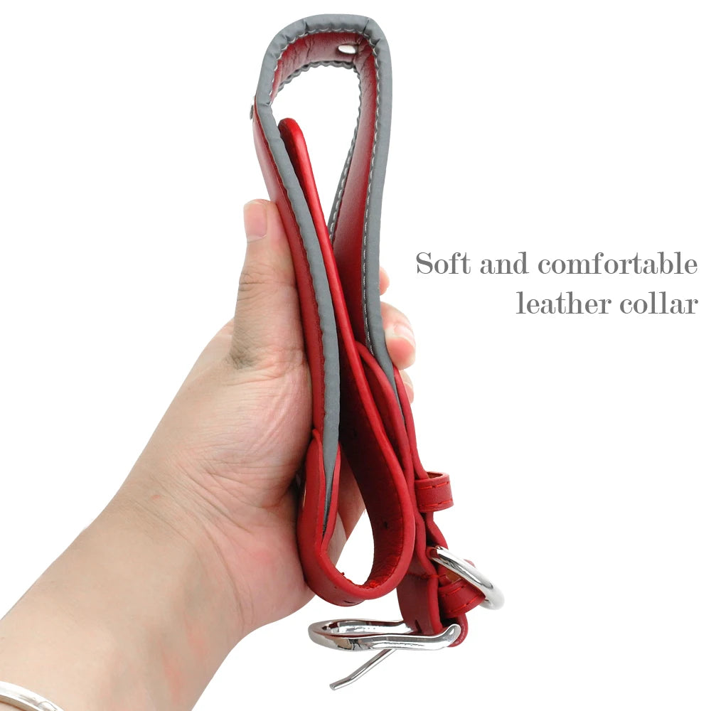 KOSTELOSE VERSAND  Personalisiertes Leder-Hundehalsband - Elite Pup Finds Store  Hunde Accessoires 