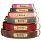 KOSTENLOSE VERSAND :Leder-Hundehalsband-Leinen-Set, mit gratis graviertem Namensschild - Elite Pup Finds Store  Hunde Accessoires 