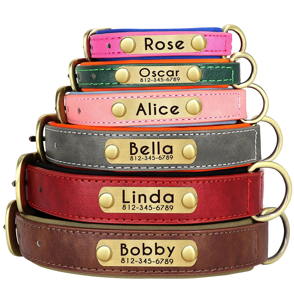 KOSTENLOSE VERSAND :Leder-Hundehalsband-Leinen-Set, mit gratis graviertem Namensschild - Elite Pup Finds Store  Hunde Accessoires 