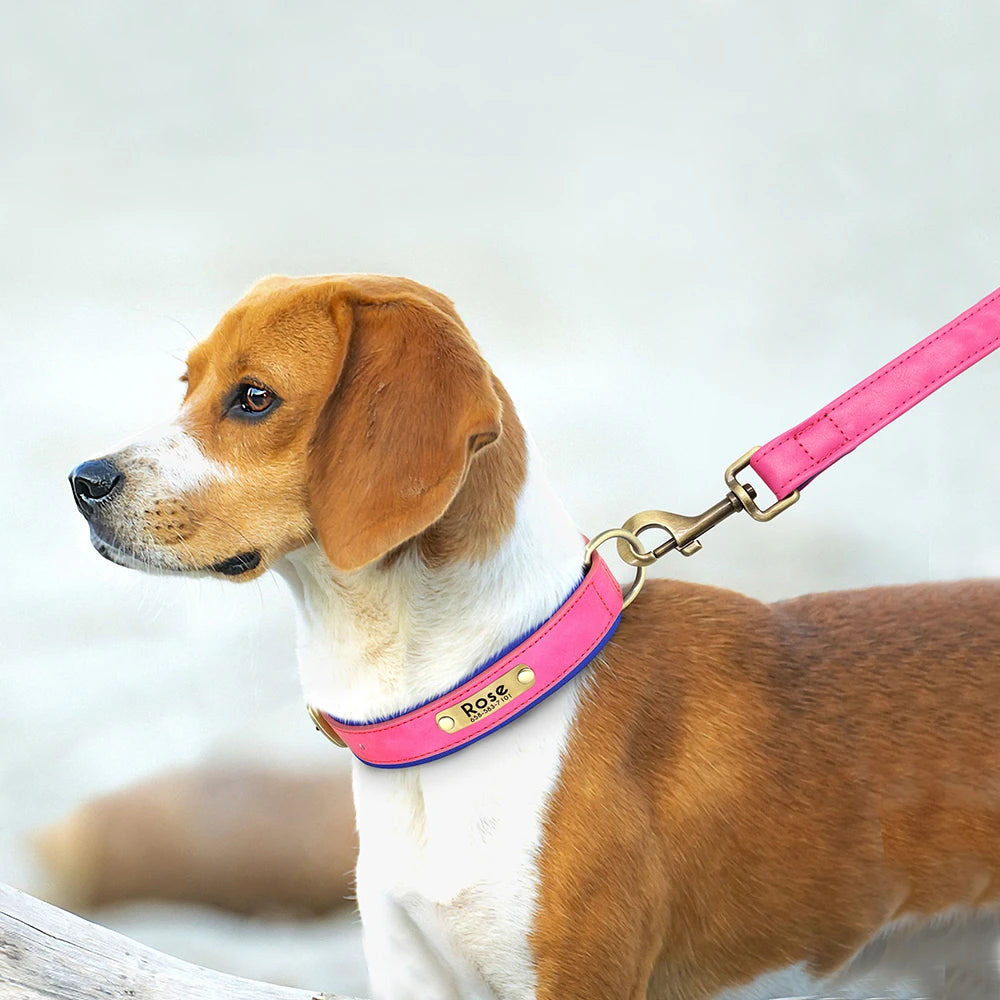 KOSTENLOSE VERSAND :Leder-Hundehalsband-Leinen-Set, mit gratis graviertem Namensschild - Elite Pup Finds Store  Hunde Accessoires 