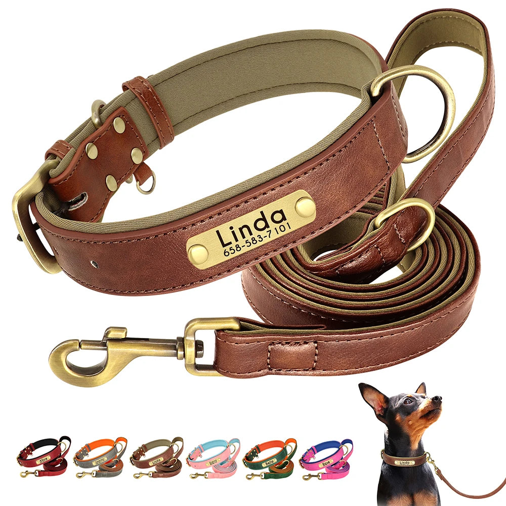 KOSTENLOSE VERSAND :Leder-Hundehalsband-Leinen-Set, mit gratis graviertem Namensschild - Elite Pup Finds Store  Hunde Accessoires 