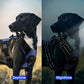 KOSTELOSE VERSAND .--Haustier, Weste für freche Hunde, Reflektierend - Elite Pup Finds Store  Hunde Accessoires 