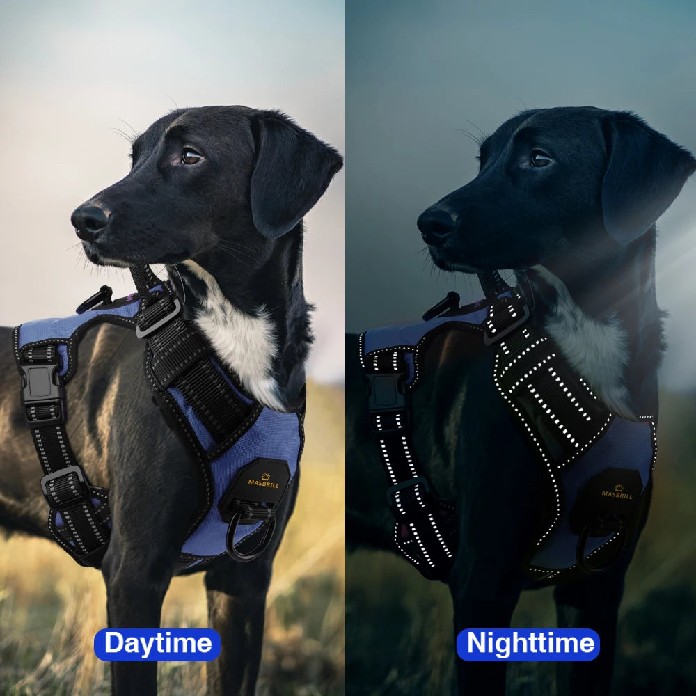 KOSTELOSE VERSAND .--Haustier, Weste für freche Hunde, Reflektierend - Elite Pup Finds Store  Hunde Accessoires 