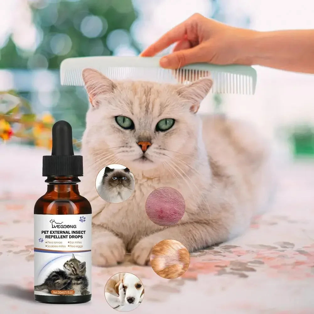 KOSTENLOSE VERSAND .--30ml Haustiere Hund Katze Anti Floh Tropfen Insektenentferner Spray Floh Zecken Konzentrat Formel Speziell Hunde Katzen Haustier Entfernen Anti Flöhe - Elite Pup Finds Store  Hunde Accessoires 