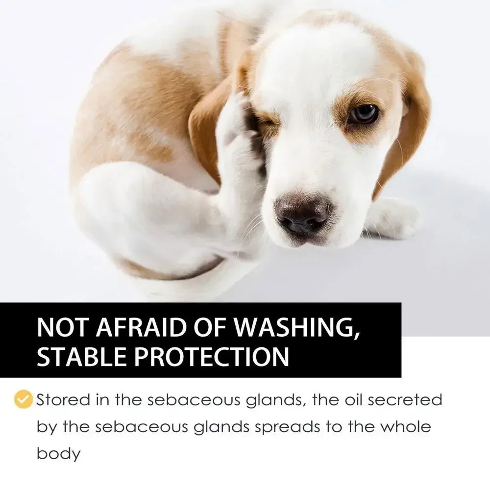 KOSTENLOSE VERSAND .--30ml Haustiere Hund Katze Anti Floh Tropfen Insektenentferner Spray Floh Zecken Konzentrat Formel Speziell Hunde Katzen Haustier Entfernen Anti Flöhe - Elite Pup Finds Store  Hunde Accessoires 