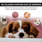 KOSTENLOSE VERSAND .--30ml Haustiere Hund Katze Anti Floh Tropfen Insektenentferner Spray Floh Zecken Konzentrat Formel Speziell Hunde Katzen Haustier Entfernen Anti Flöhe - Elite Pup Finds Store  Hunde Accessoires 
