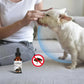 KOSTENLOSE VERSAND .--30ml Haustiere Hund Katze Anti Floh Tropfen Insektenentferner Spray Floh Zecken Konzentrat Formel Speziell Hunde Katzen Haustier Entfernen Anti Flöhe - Elite Pup Finds Store  Hunde Accessoires 