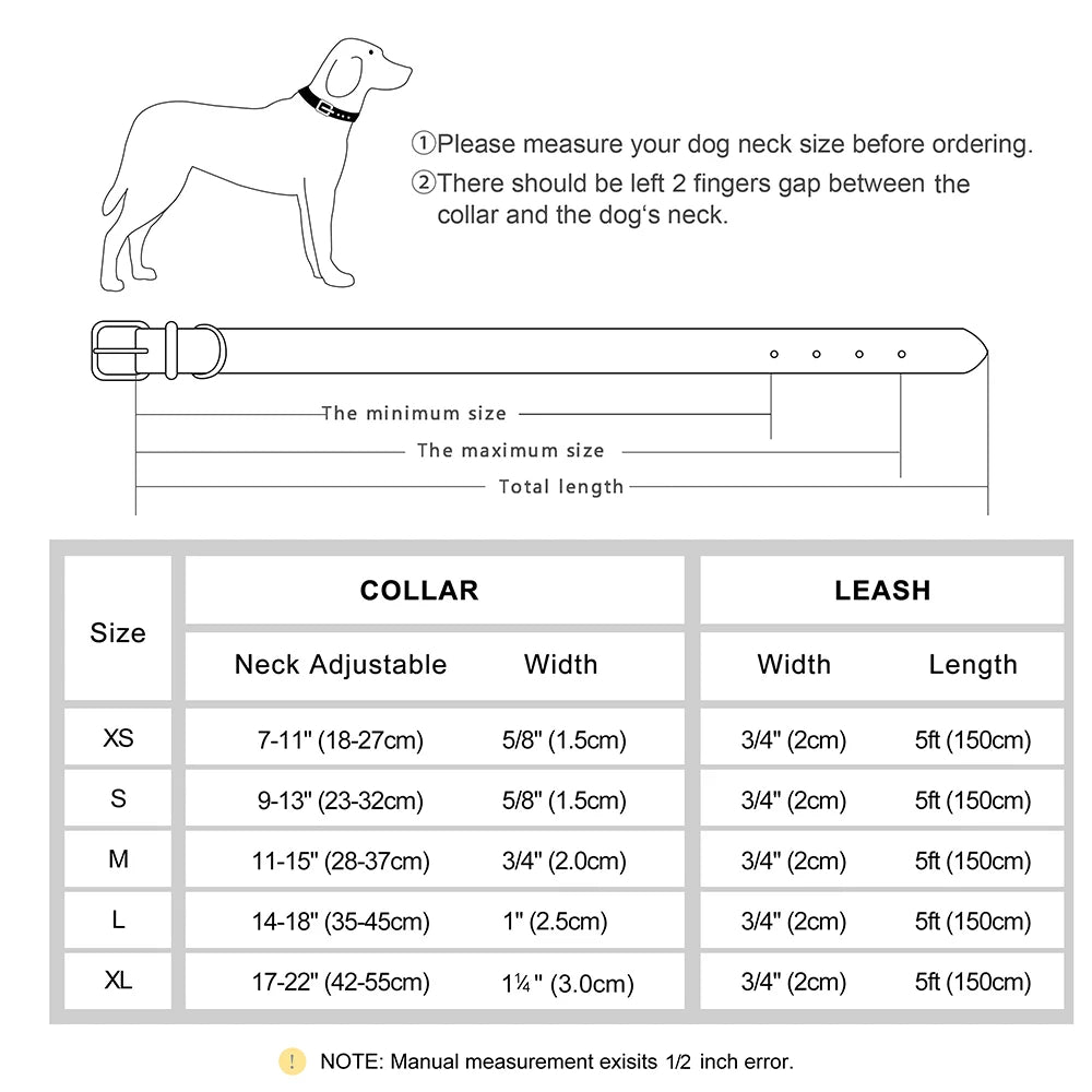 KOSTENLOSE VERSAND :Leder-Hundehalsband-Leinen-Set, mit gratis graviertem Namensschild - Elite Pup Finds Store  Hunde Accessoires 