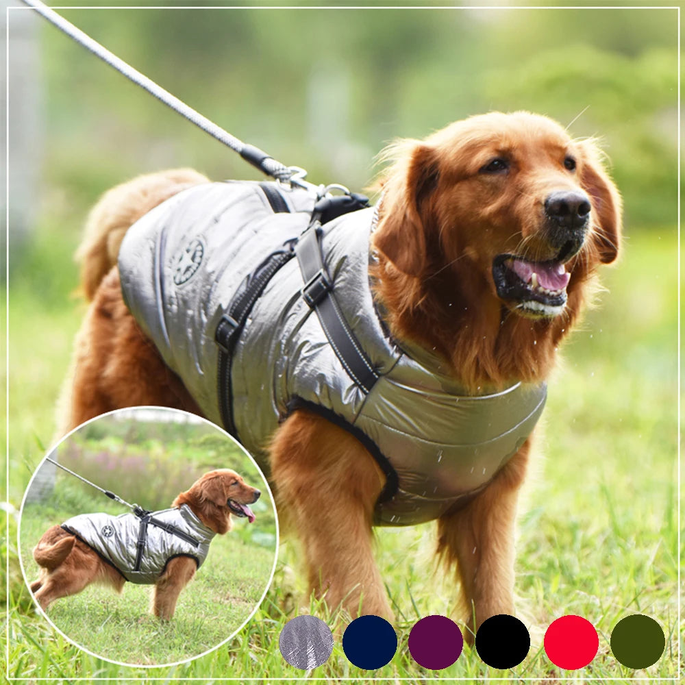KOSTENLOSE VERSAND .Haustier-Hundejacke mit Geschirr, warme Winter-Hundekleidung - Elite Pup Finds Store  Hunde Accessoires 