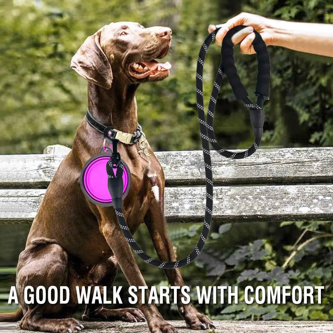 KOSTELOSE VERSAND---Starke Hundeleine, Reflektierende Leine für große kleine mittelgroße Hundeleine - Elite Pup Finds Store  Hunde Accessoires 