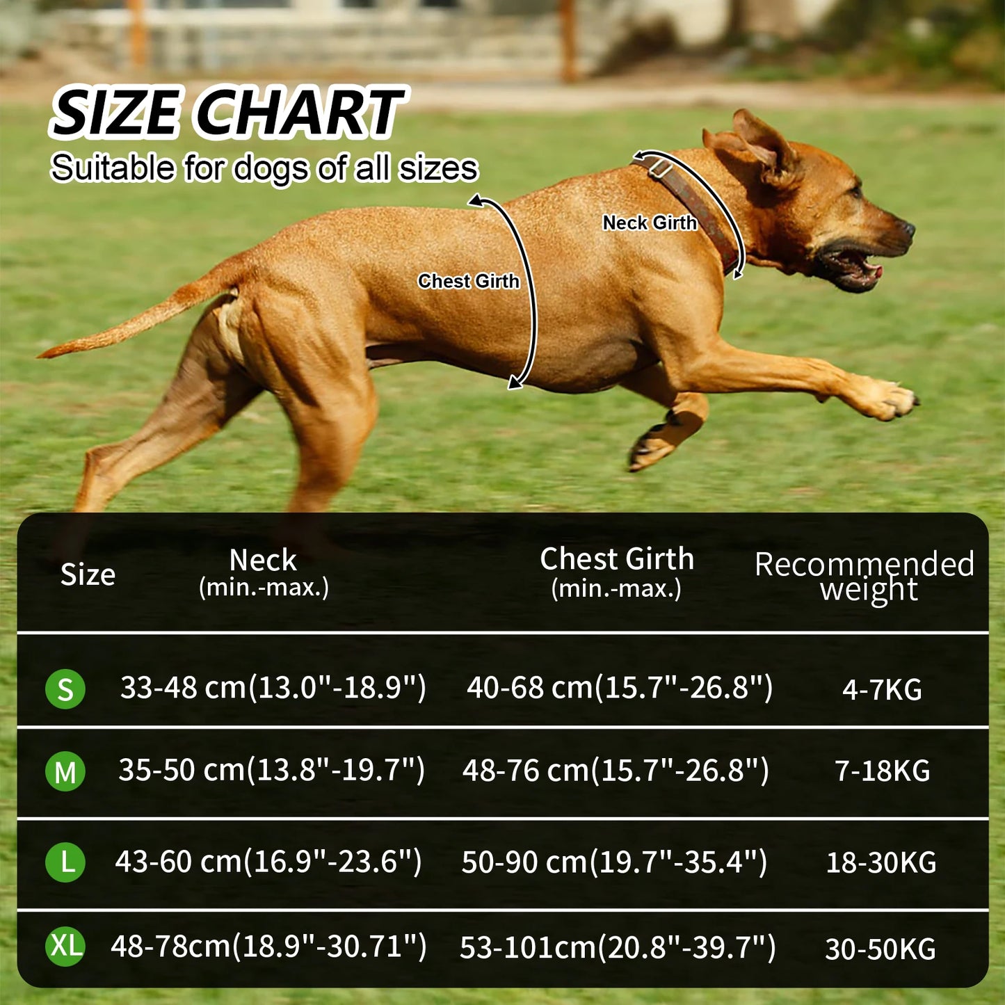 KOSTELOSE VERSAND .--Haustier, Weste für freche Hunde, Reflektierend - Elite Pup Finds Store  Hunde Accessoires 