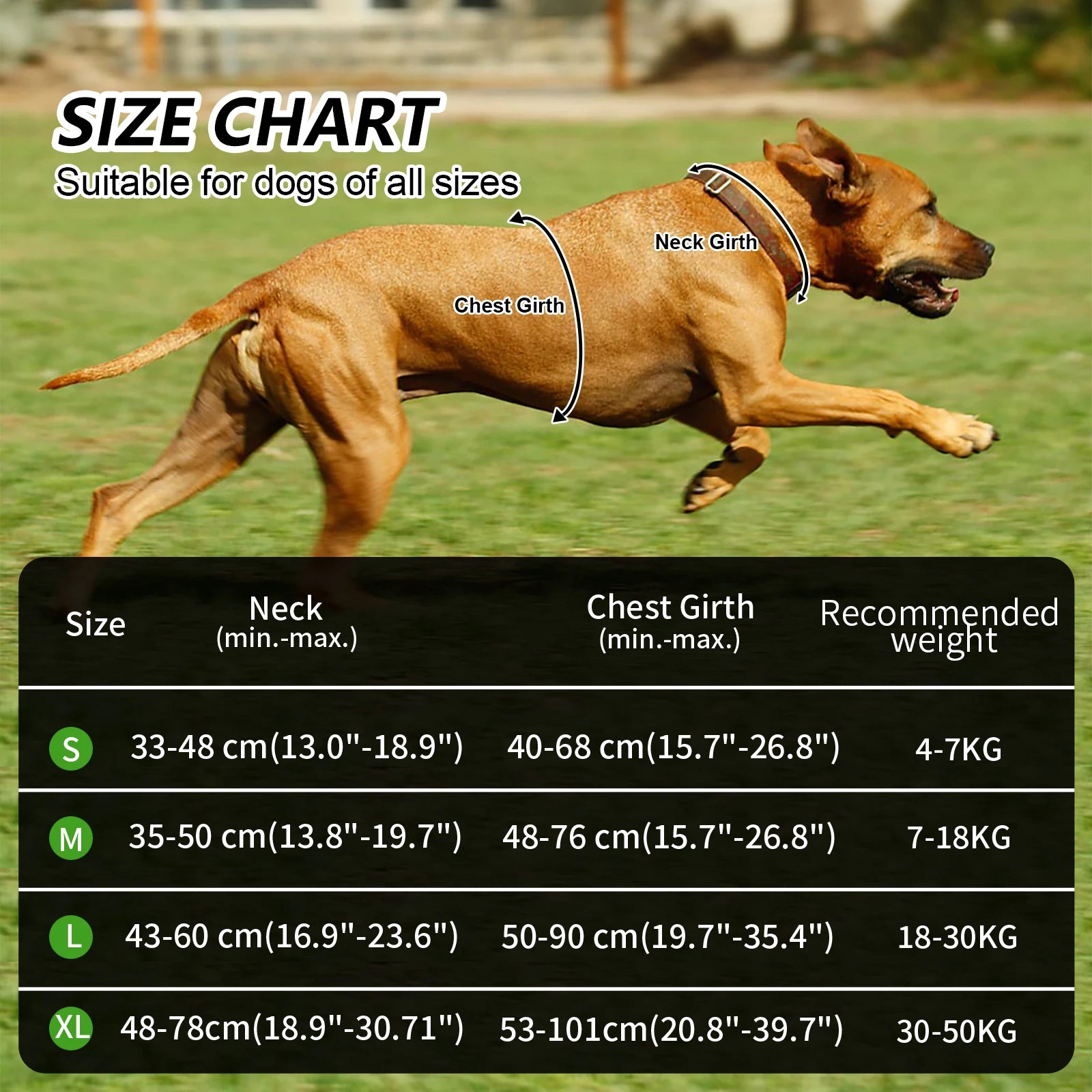 KOSTELOSE VERSAND .--Haustier, Weste für freche Hunde, Reflektierend - Elite Pup Finds Store  Hunde Accessoires 