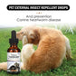 KOSTENLOSE VERSAND .--30ml Haustiere Hund Katze Anti Floh Tropfen Insektenentferner Spray Floh Zecken Konzentrat Formel Speziell Hunde Katzen Haustier Entfernen Anti Flöhe - Elite Pup Finds Store  Hunde Accessoires 
