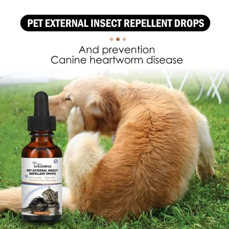 KOSTENLOSE VERSAND .--30ml Haustiere Hund Katze Anti Floh Tropfen Insektenentferner Spray Floh Zecken Konzentrat Formel Speziell Hunde Katzen Haustier Entfernen Anti Flöhe - Elite Pup Finds Store  Hunde Accessoires 