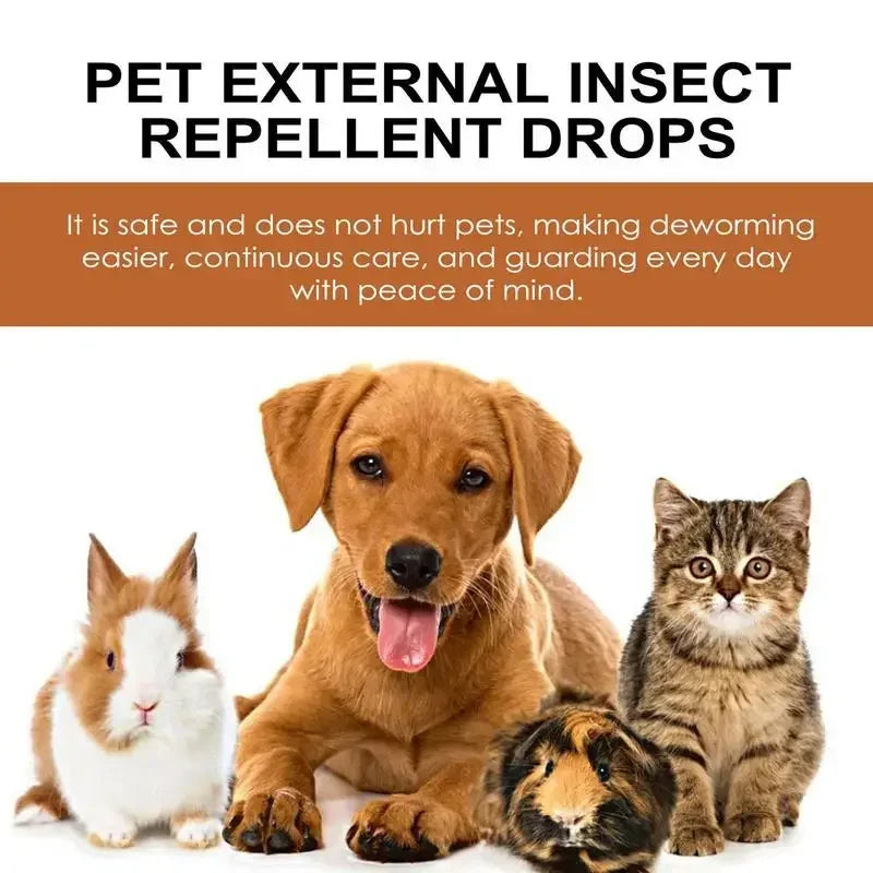 KOSTENLOSE VERSAND .--30ml Haustiere Hund Katze Anti Floh Tropfen Insektenentferner Spray Floh Zecken Konzentrat Formel Speziell Hunde Katzen Haustier Entfernen Anti Flöhe - Elite Pup Finds Store  Hunde Accessoires 