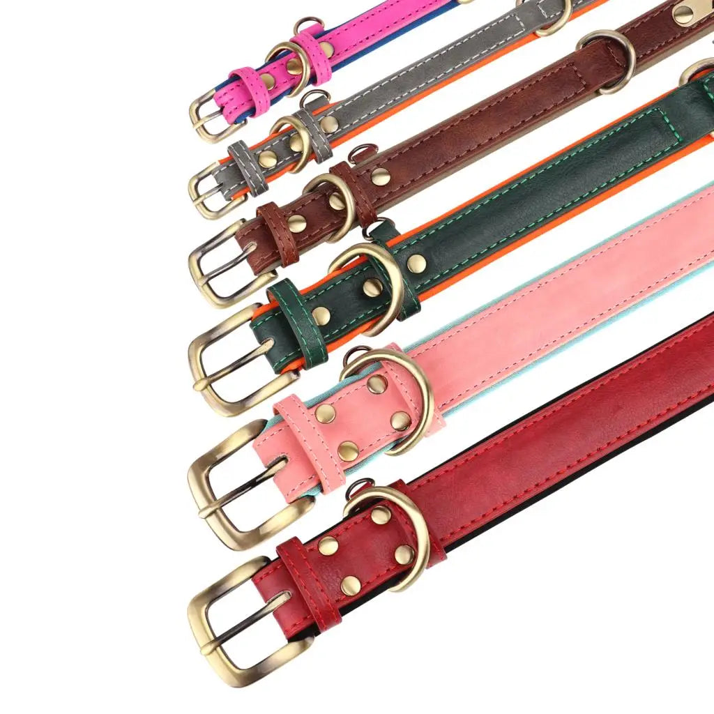 KOSTENLOSE VERSAND :Leder-Hundehalsband-Leinen-Set, mit gratis graviertem Namensschild - Elite Pup Finds Store  Hunde Accessoires 
